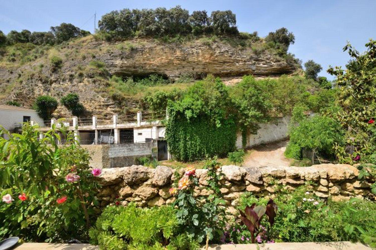 House for Sale in Arriate