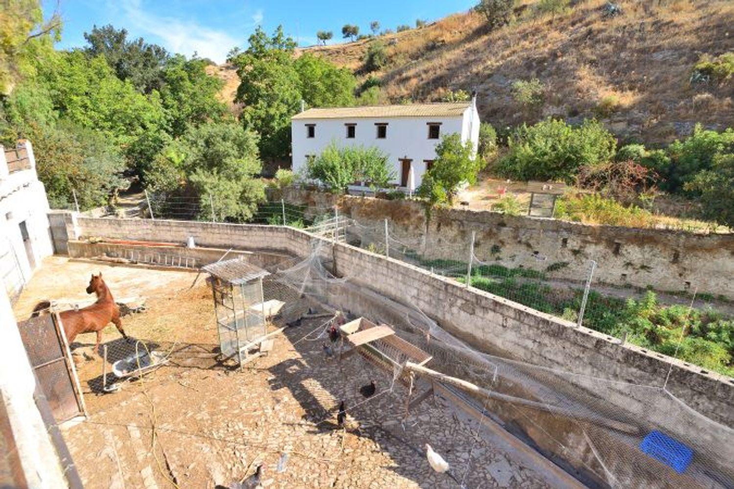 House for Sale in Arriate