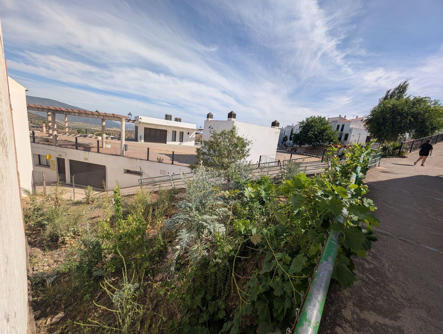 Plot for Sale in El Gastor