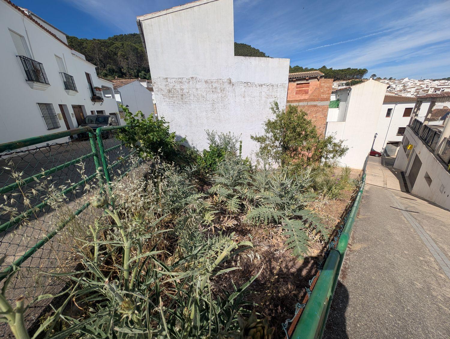 Plot for Sale in El Gastor