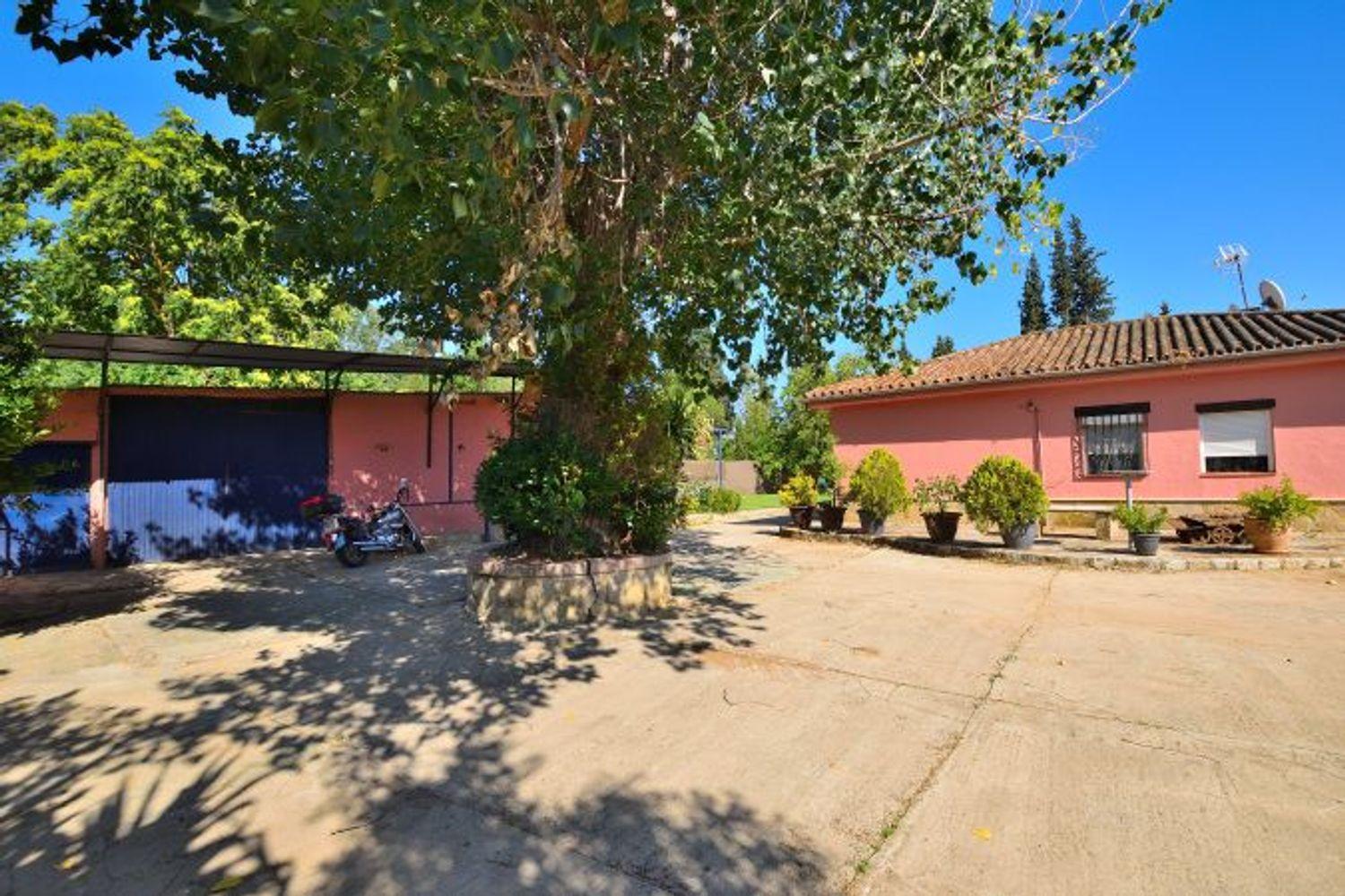 Casa en Venta en Benaoján