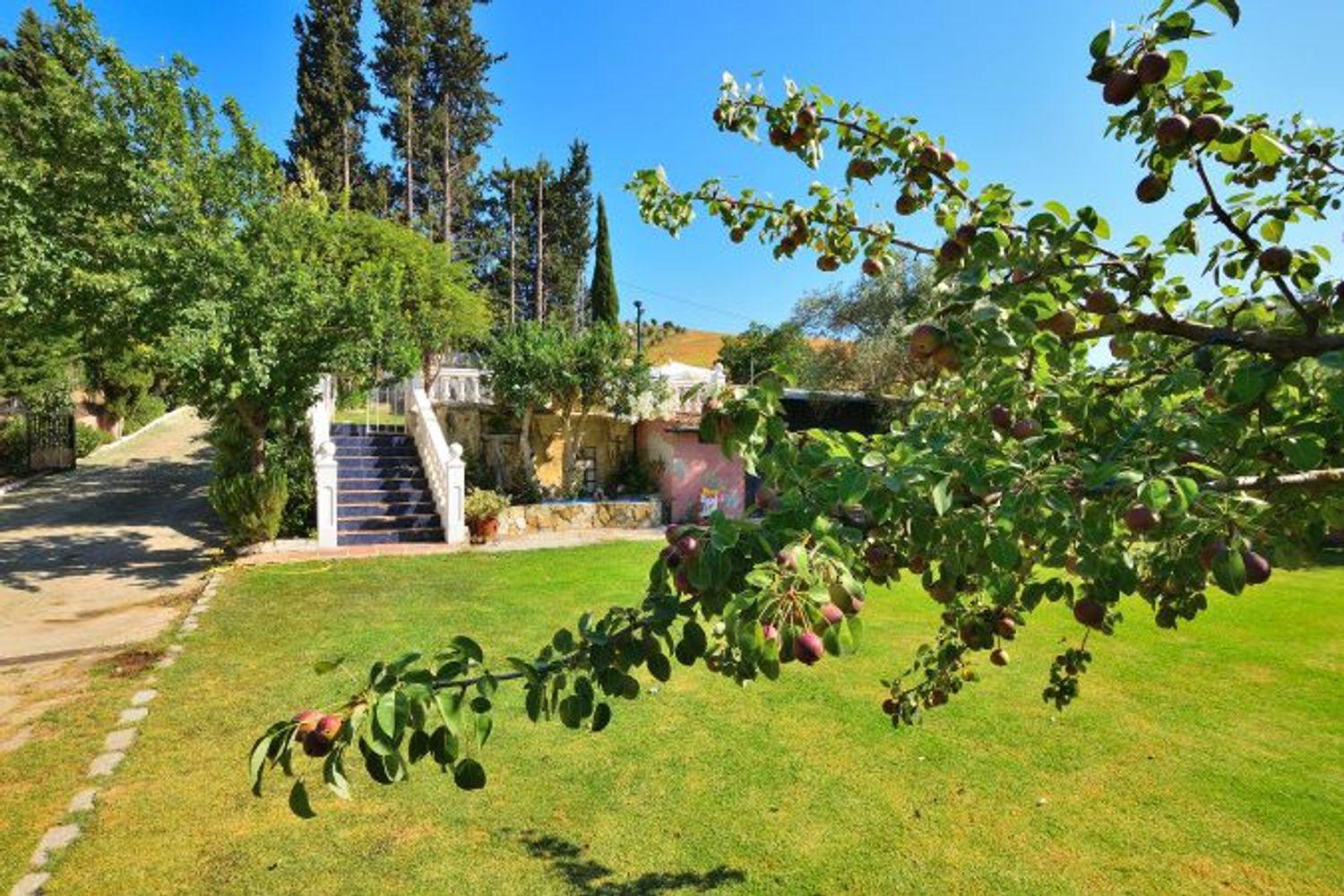 Casa en Venta en Benaoján