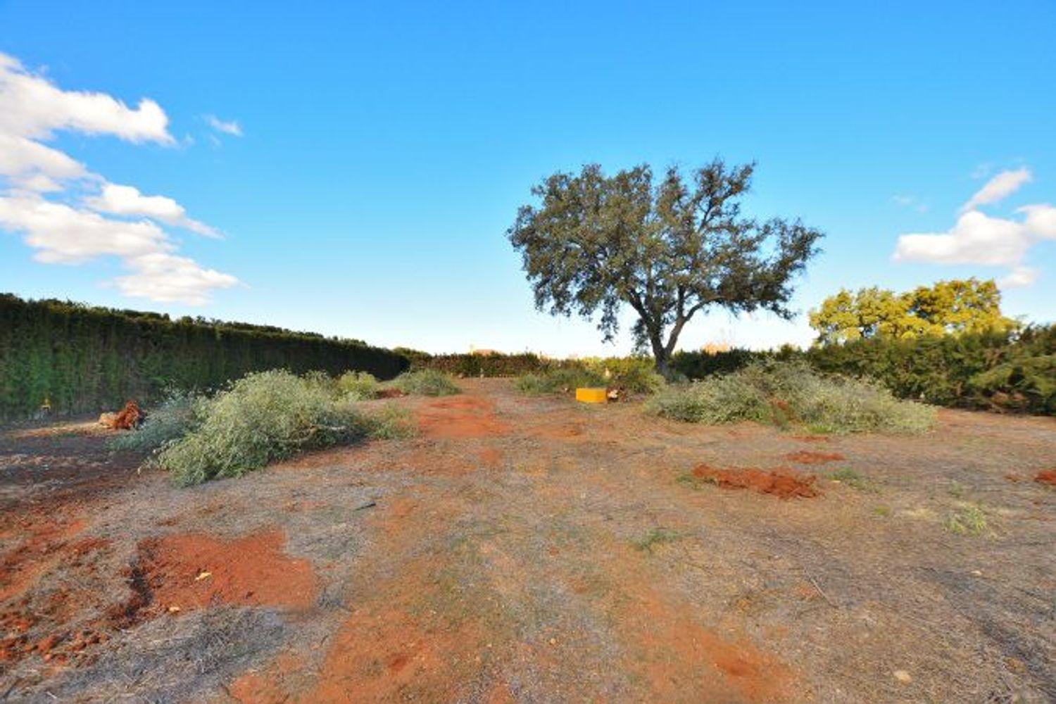House for Sale in Ronda