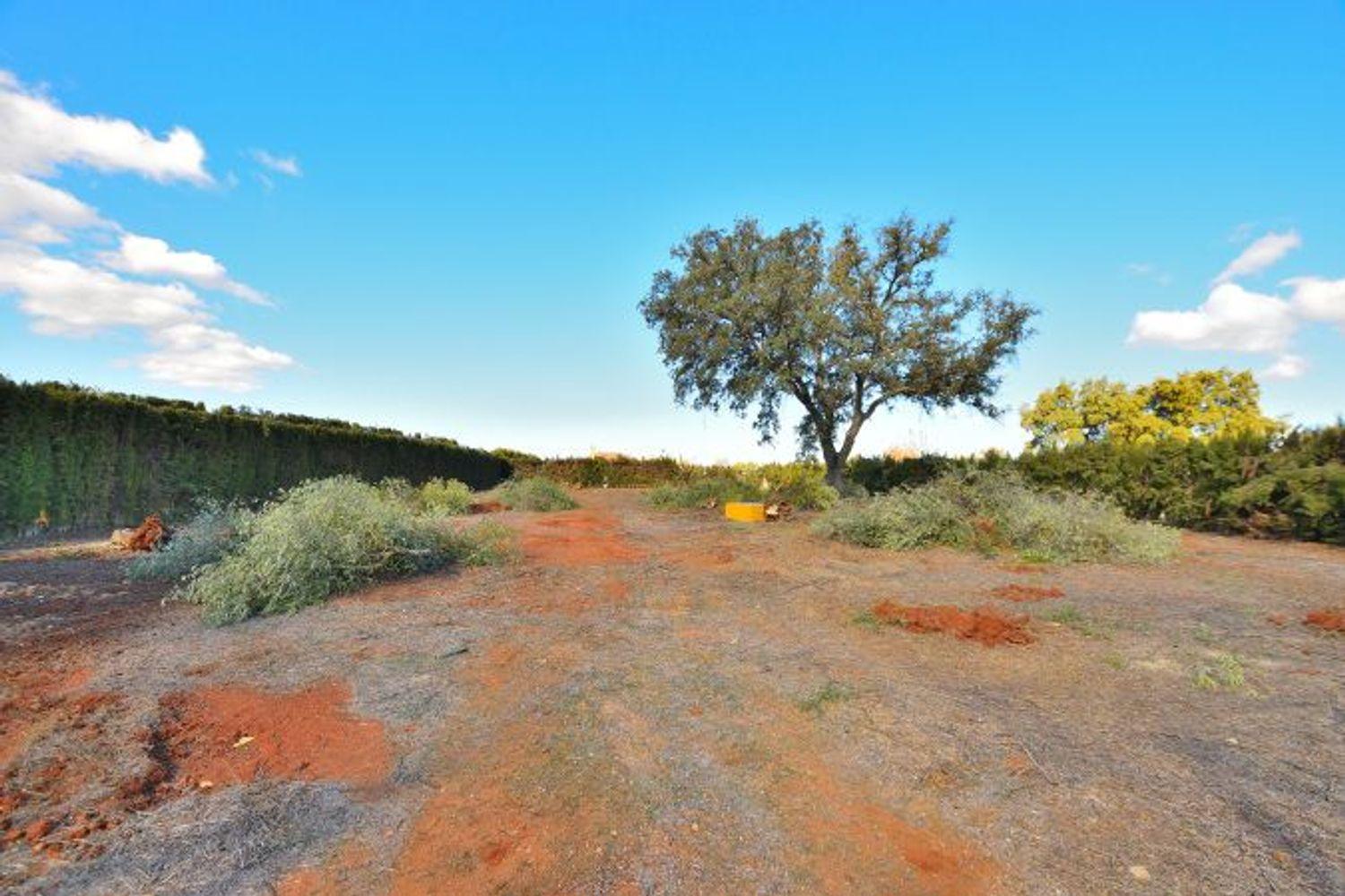 House for Sale in Ronda