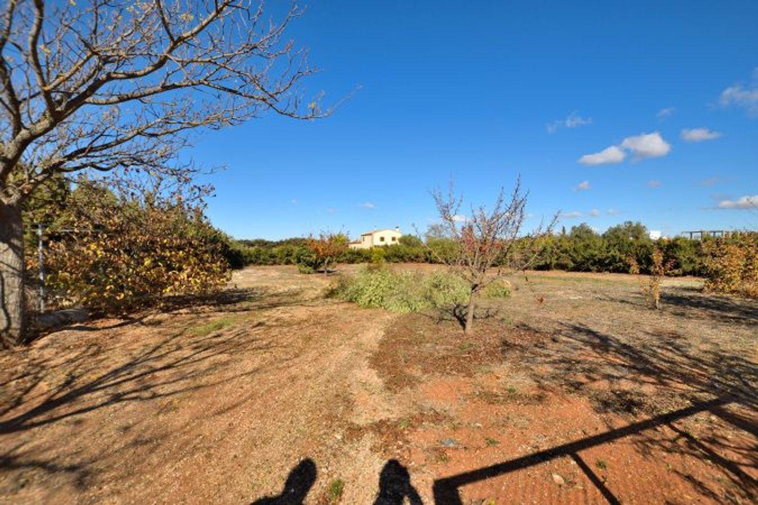 House for Sale in Ronda