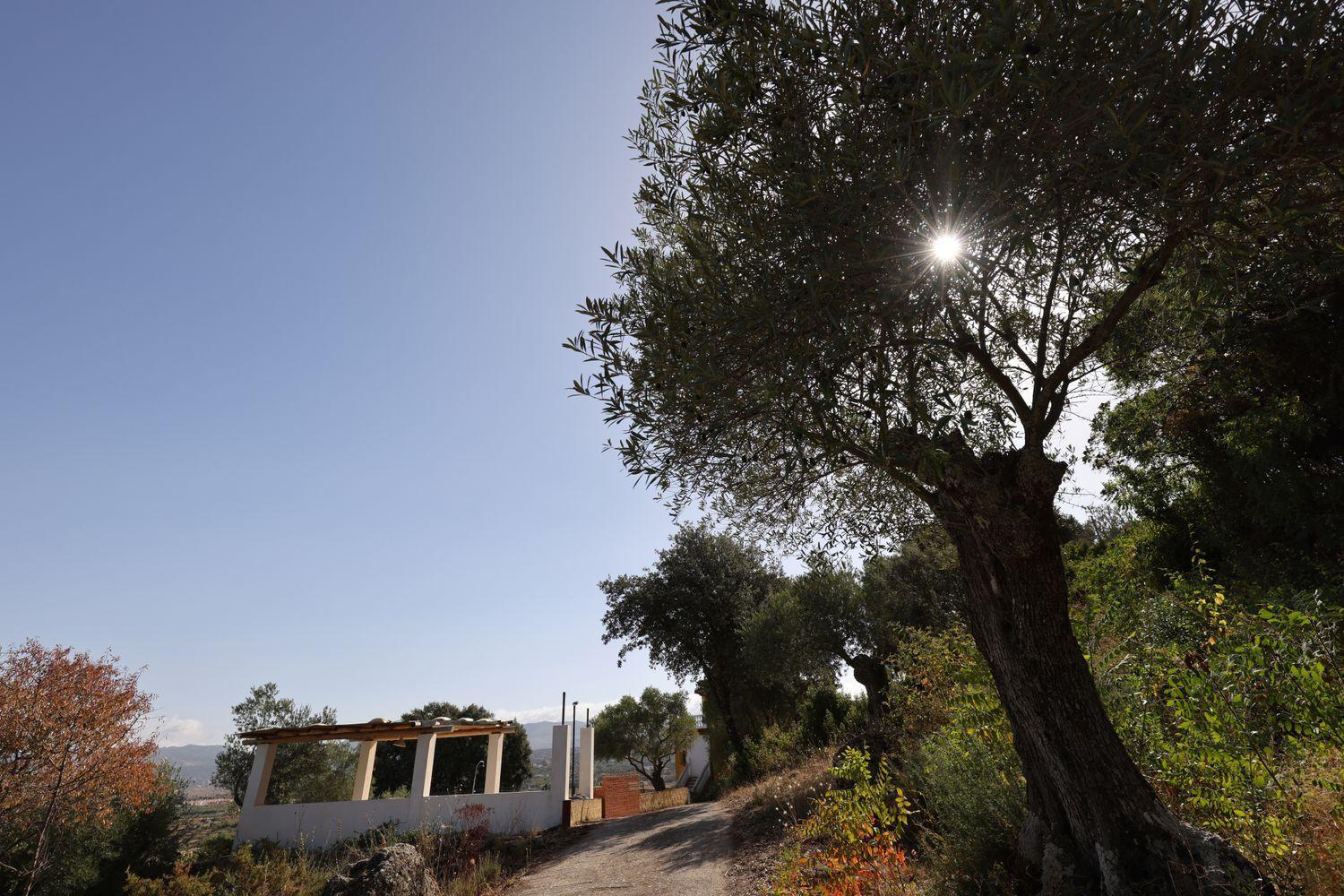 House for Sale in Ronda