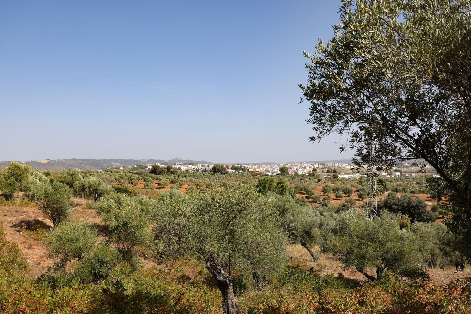 House for Sale in Ronda