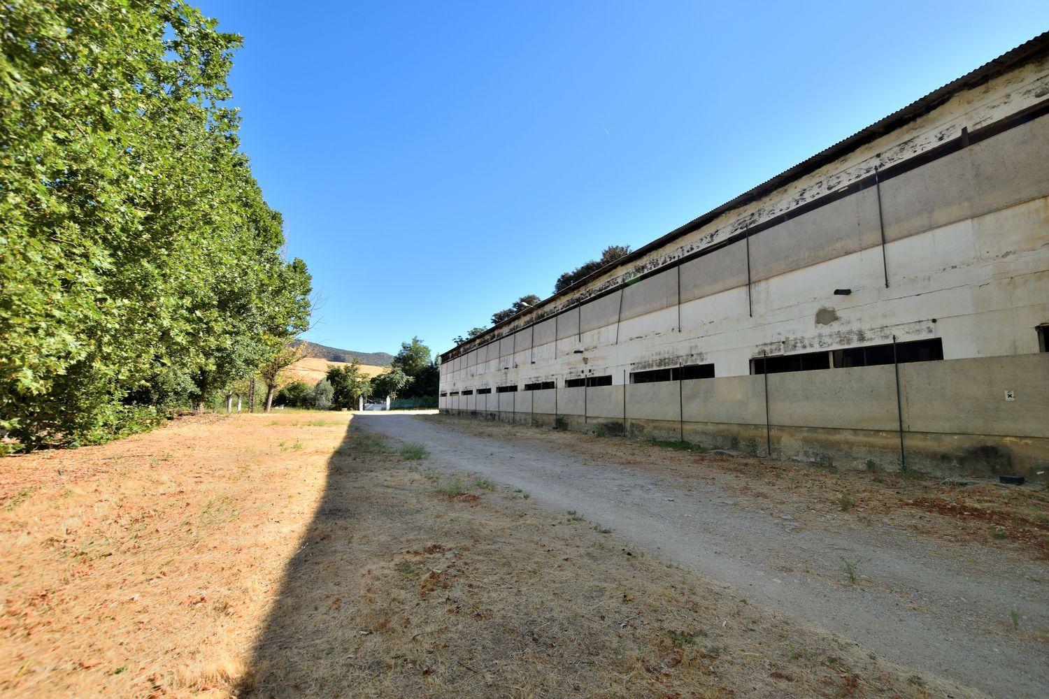 Casa en Venta en Arriate