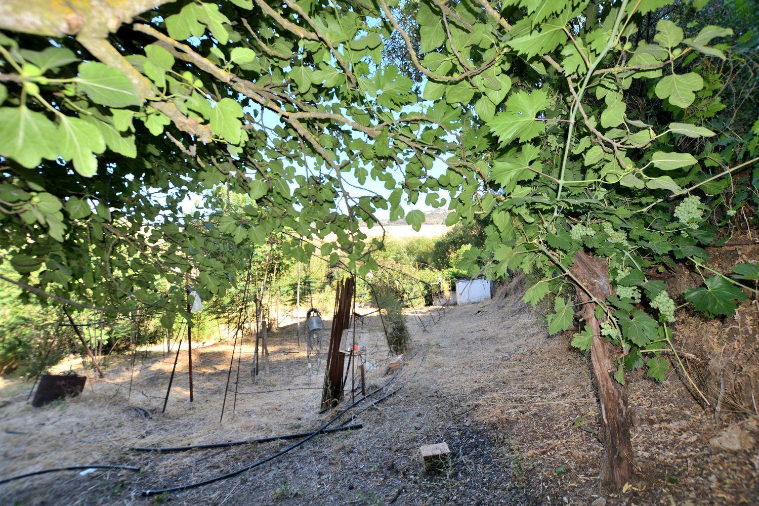 Casa en Venta en Arriate