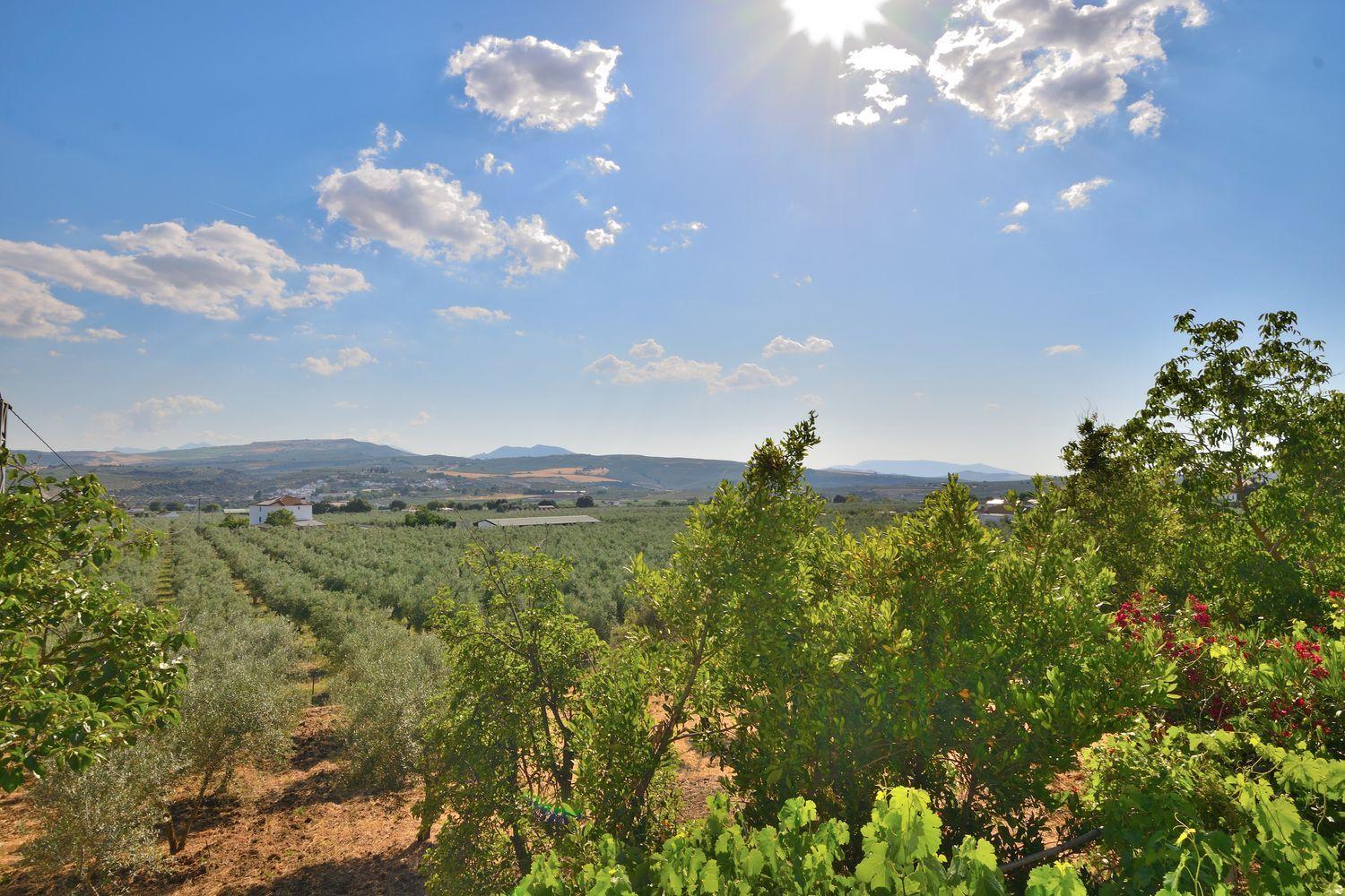 Casa en Venta en Setenil de las Bodegas