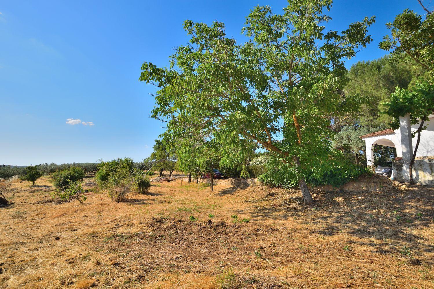 House for Sale in Setenil de las Bodegas