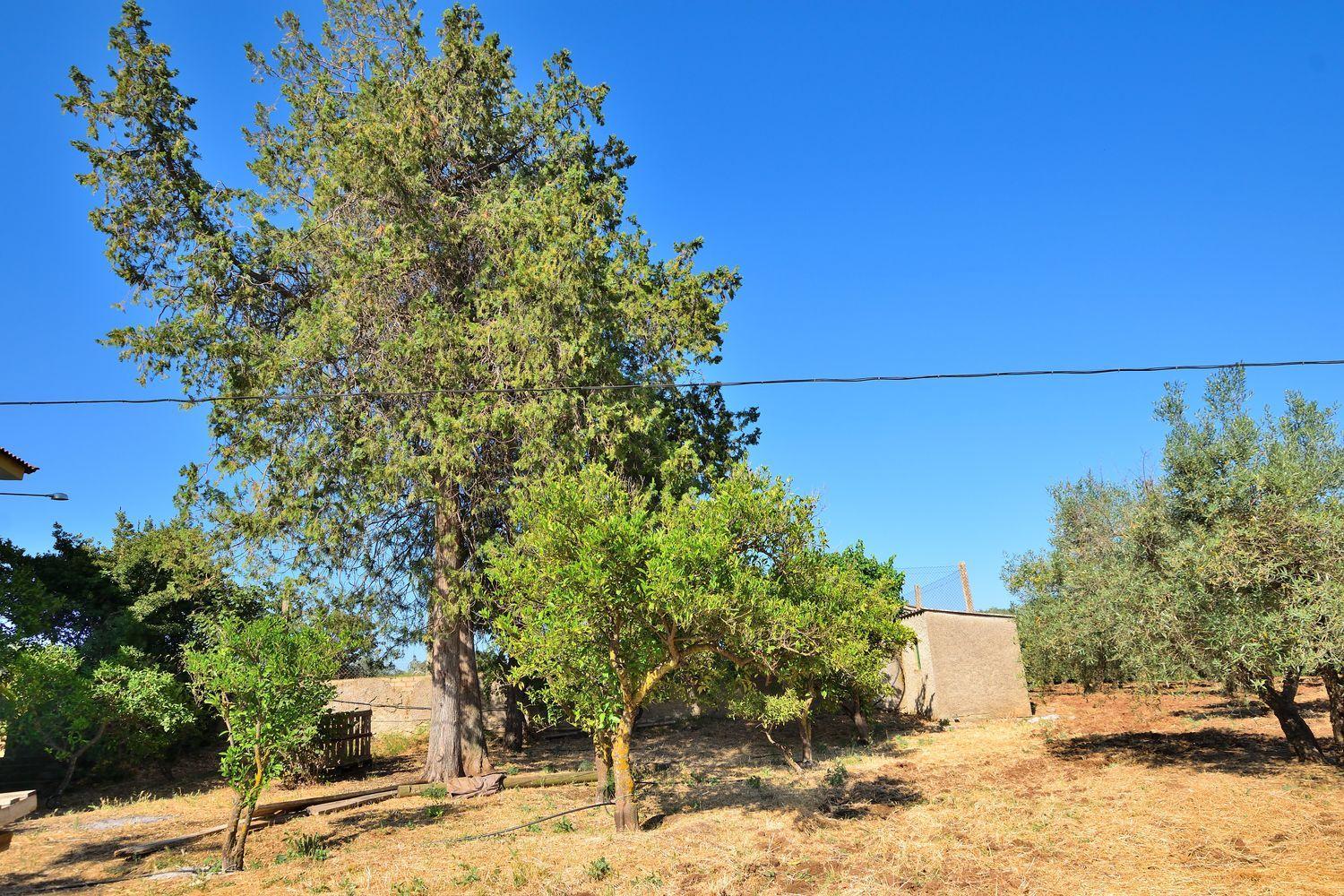 Casa en Venta en Setenil de las Bodegas