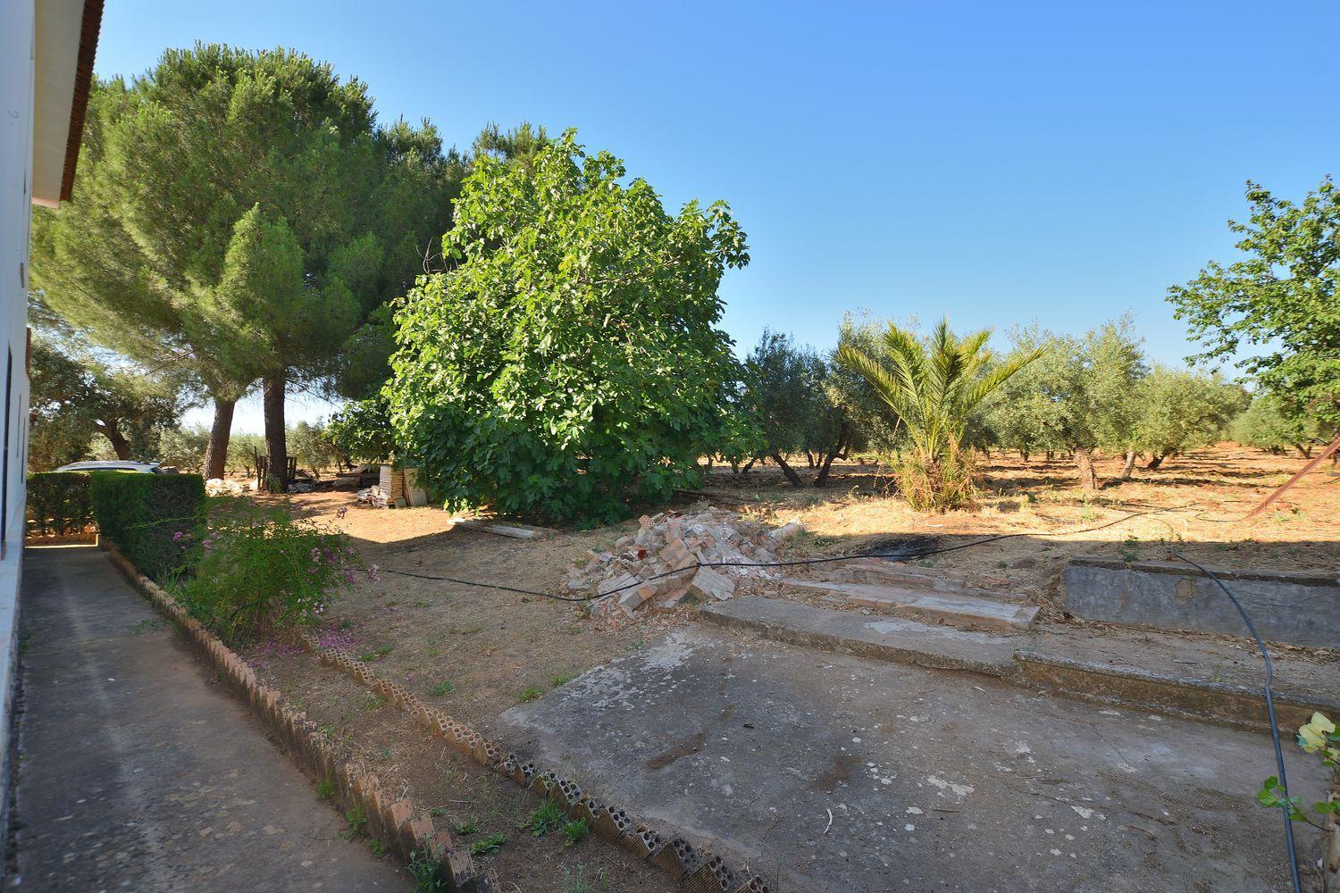 House for Sale in Setenil de las Bodegas