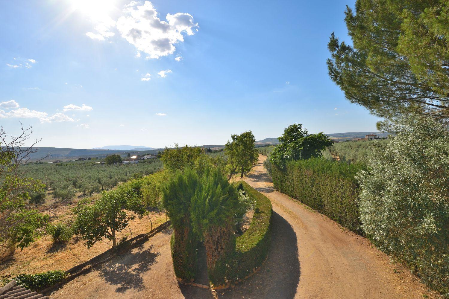 Casa en Venta en Setenil de las Bodegas