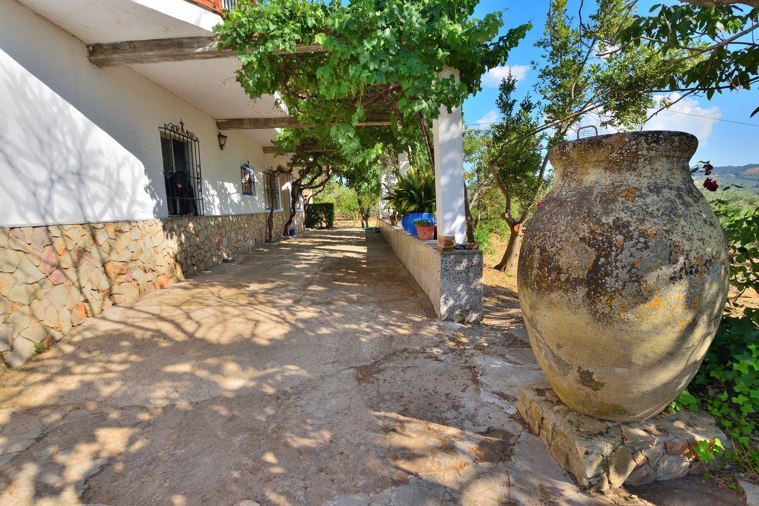 House for Sale in Setenil de las Bodegas