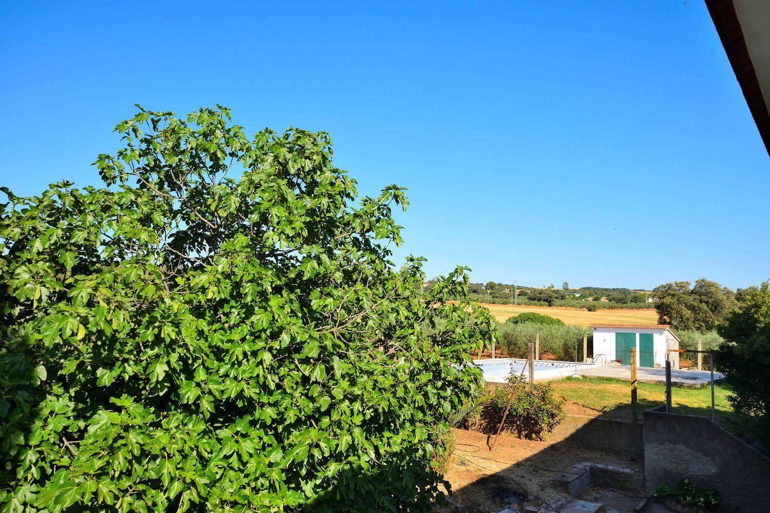 Casa en Venta en Setenil de las Bodegas