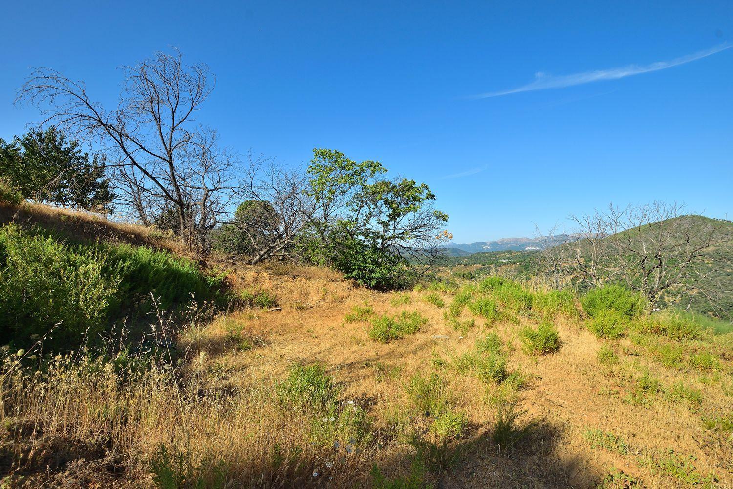 Building Site for Sale in Cartajima