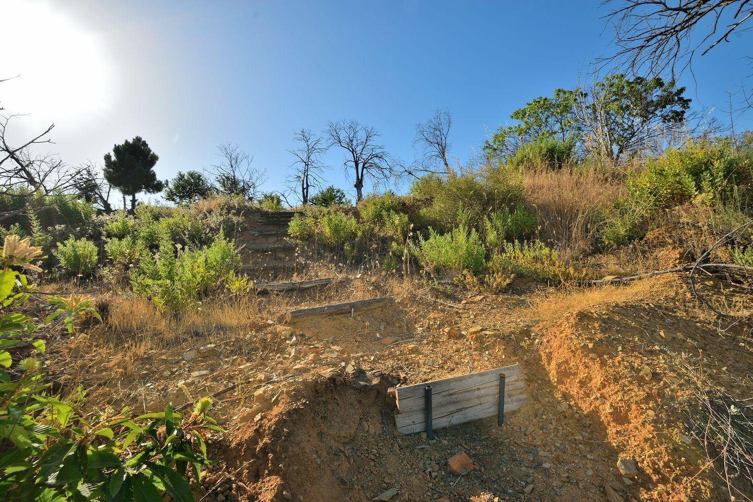 Building Site for Sale in Cartajima