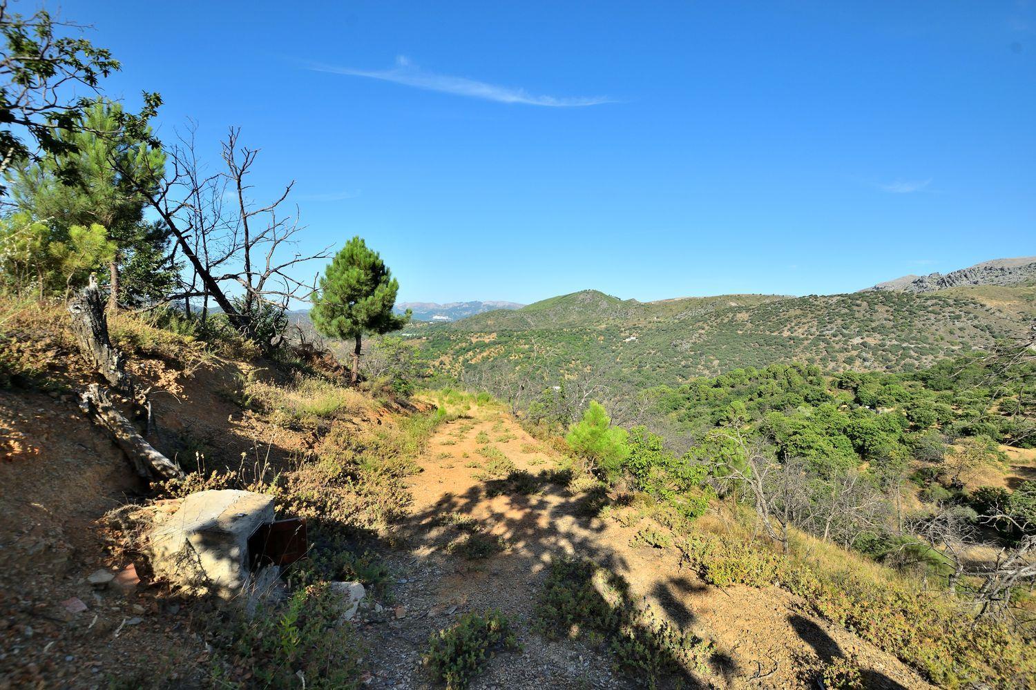 Building Site for Sale in Cartajima