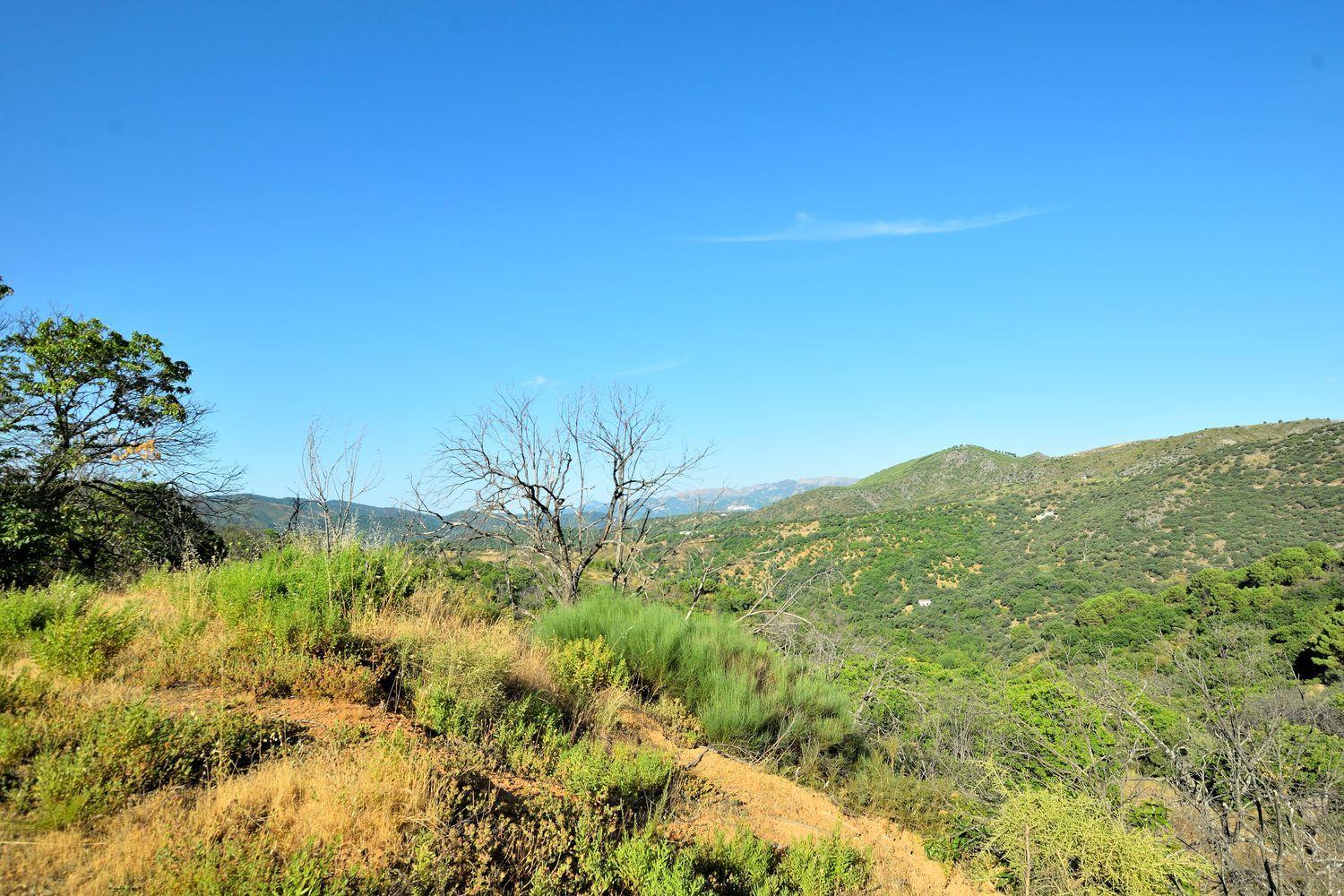 Building Site for Sale in Cartajima