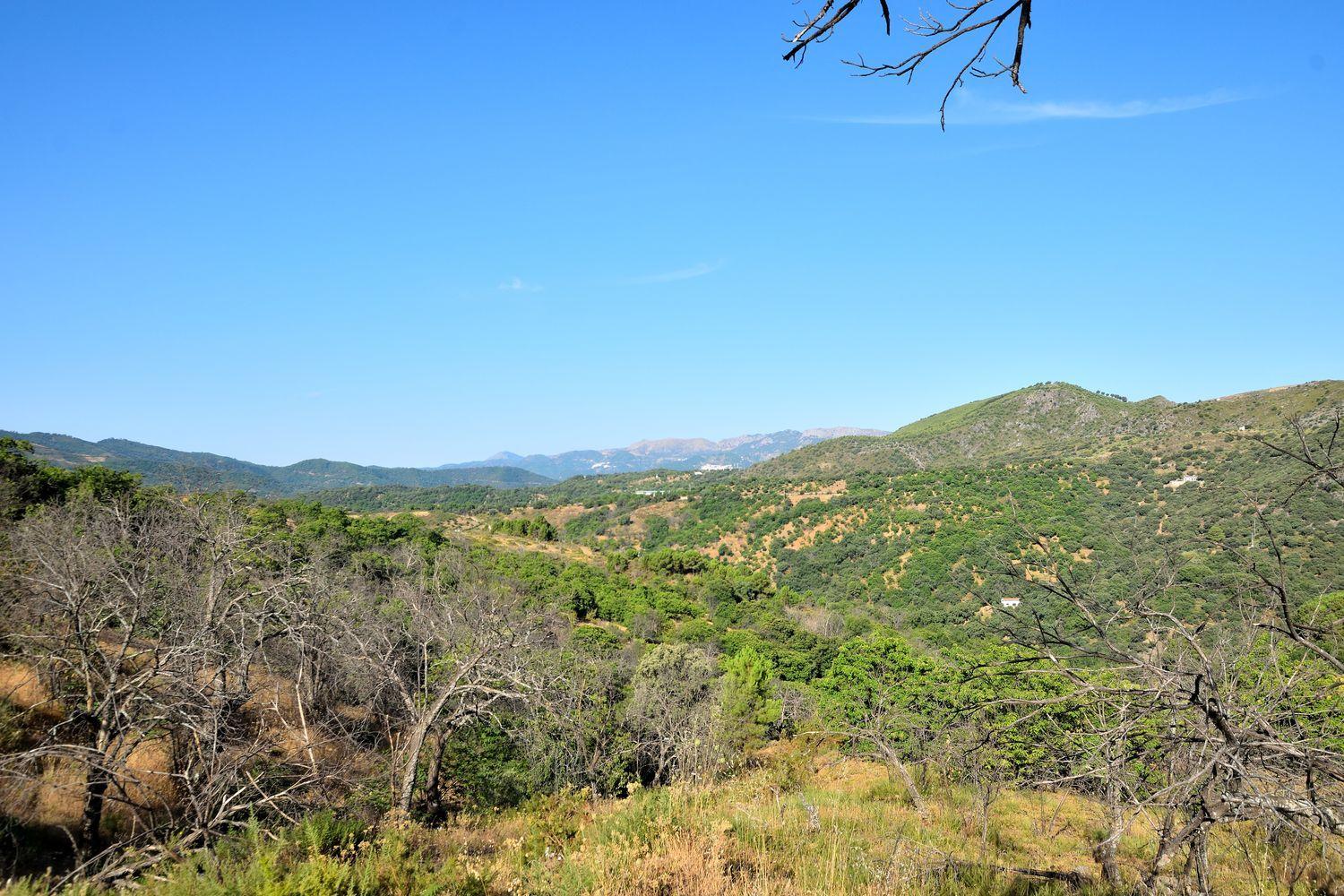 Building Site for Sale in Cartajima