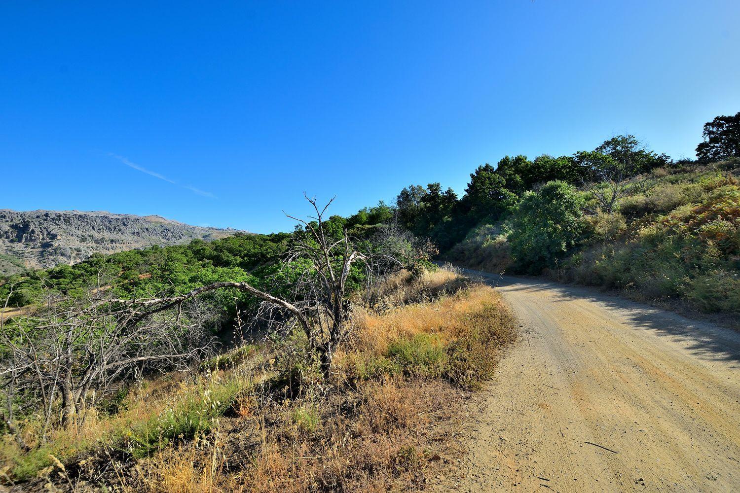 Building Site for Sale in Cartajima