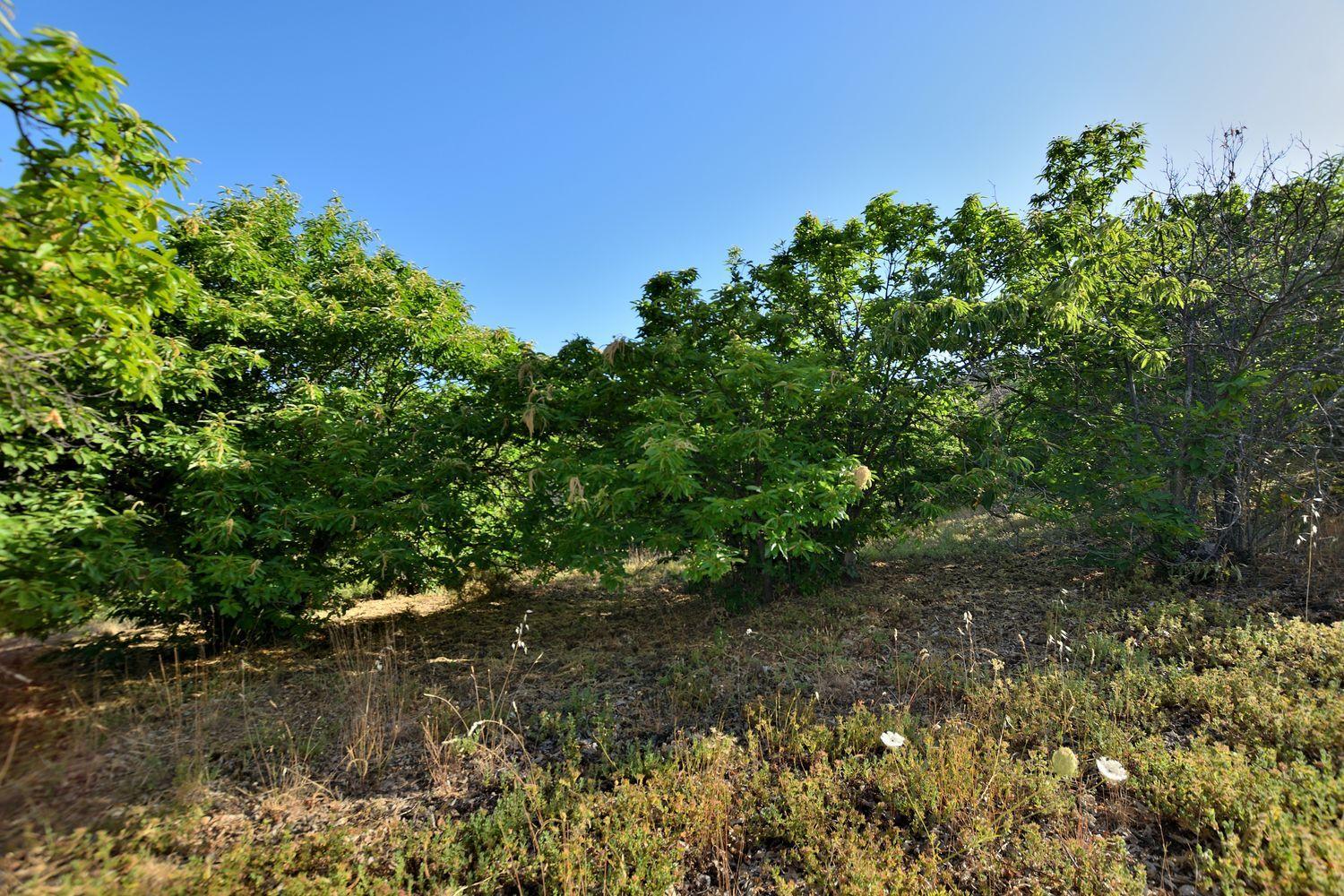 Building Site for Sale in Cartajima