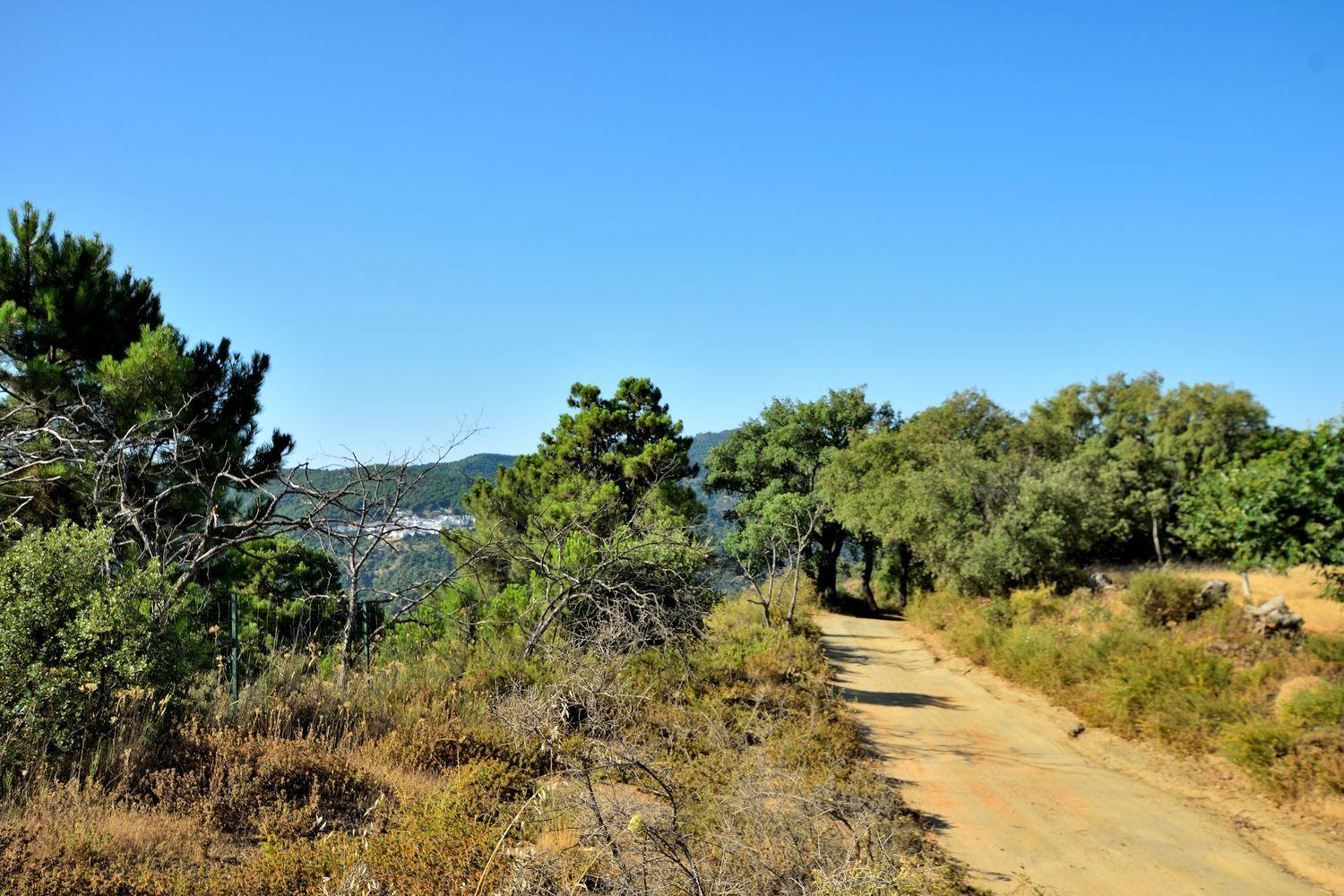 Building Site for Sale in Cartajima
