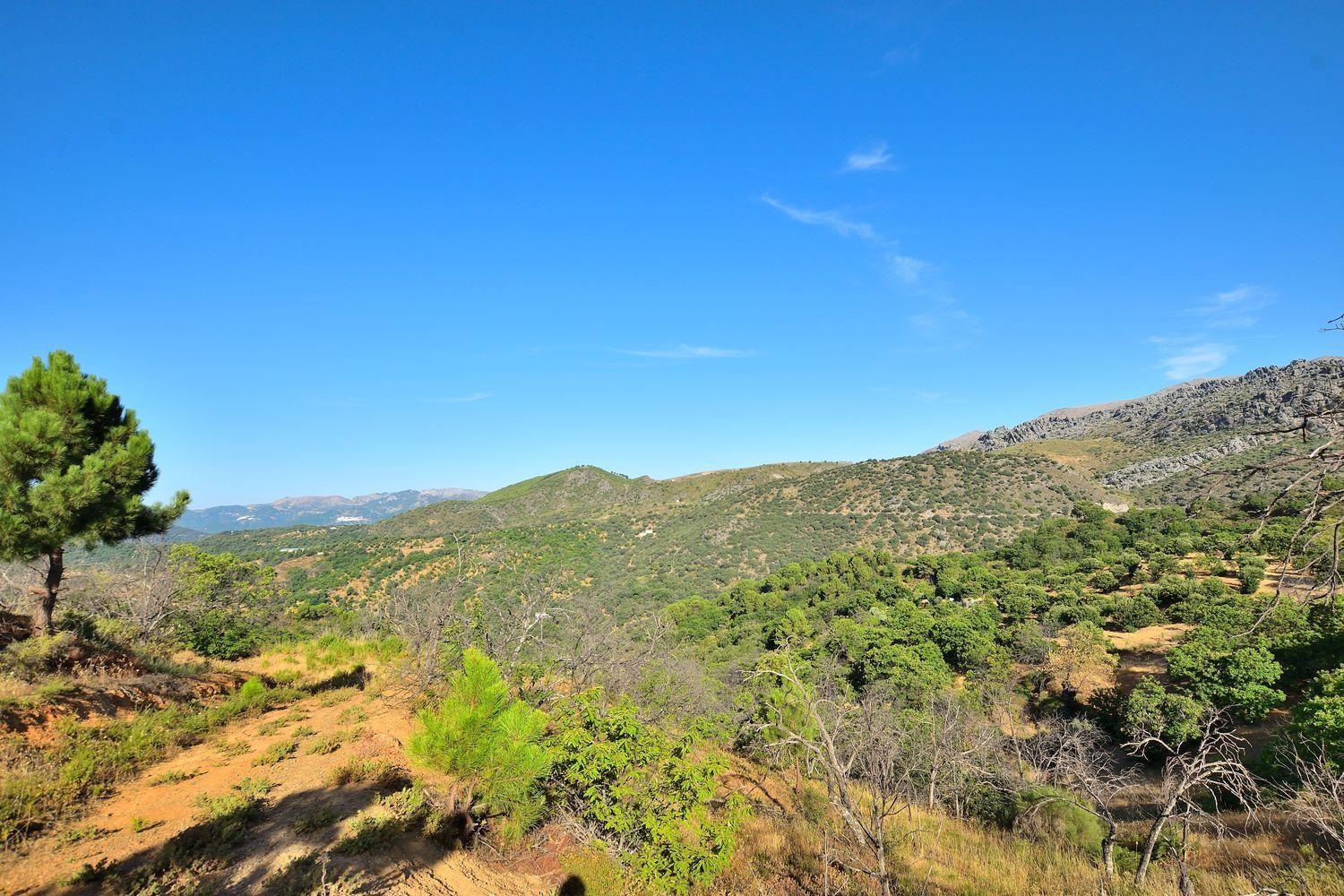 Building Site for Sale in Cartajima