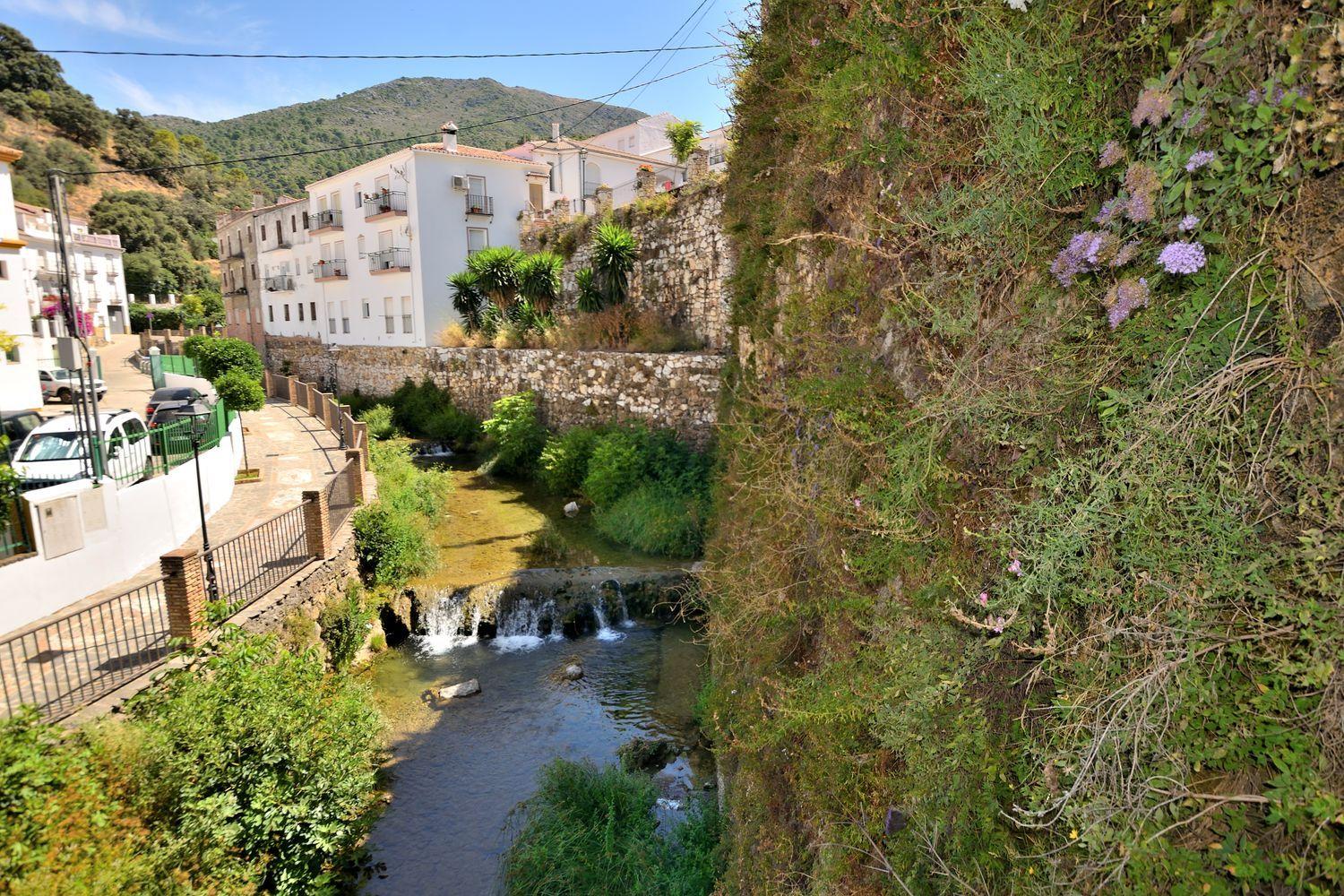 Premise for Sale in Igualeja