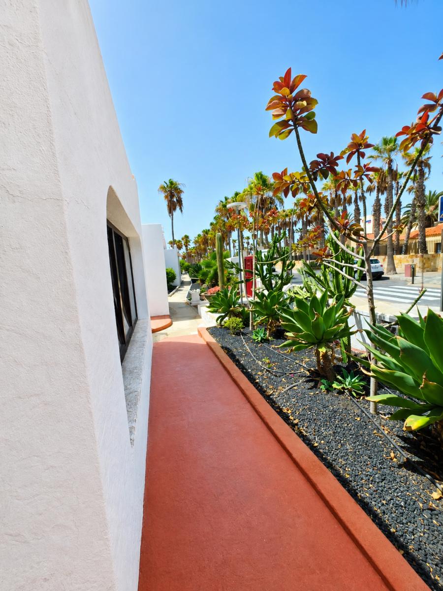 Premise for Sale in La Oliva