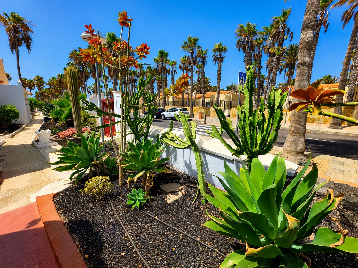 Premise for Sale in La Oliva
