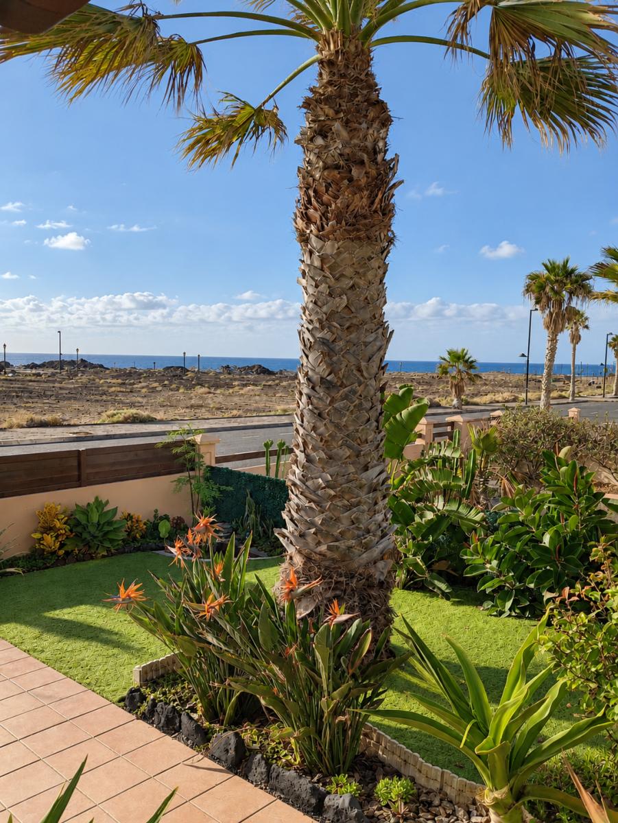 Chalet en Venta en La Oliva