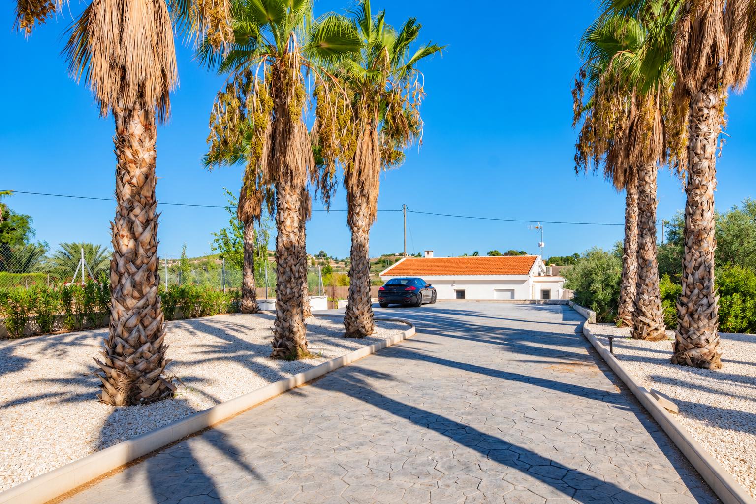 Chalet for Sale in Aspe