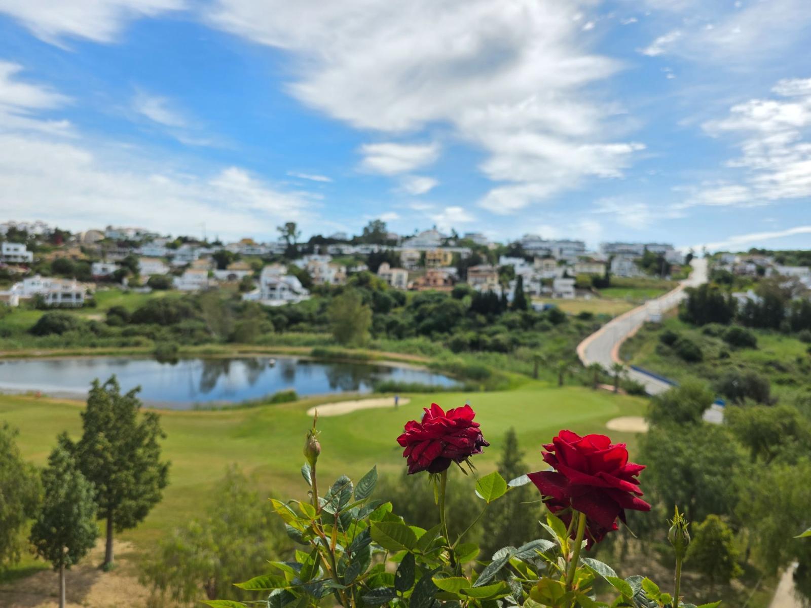 Apartment for Sale in Estepona