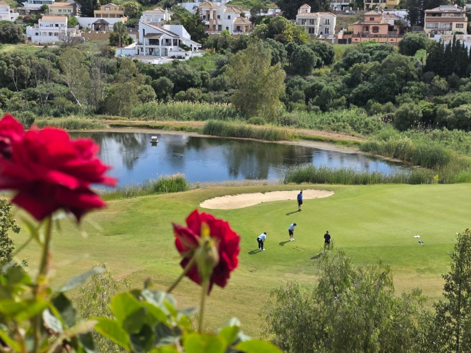Apartment for Sale in Estepona