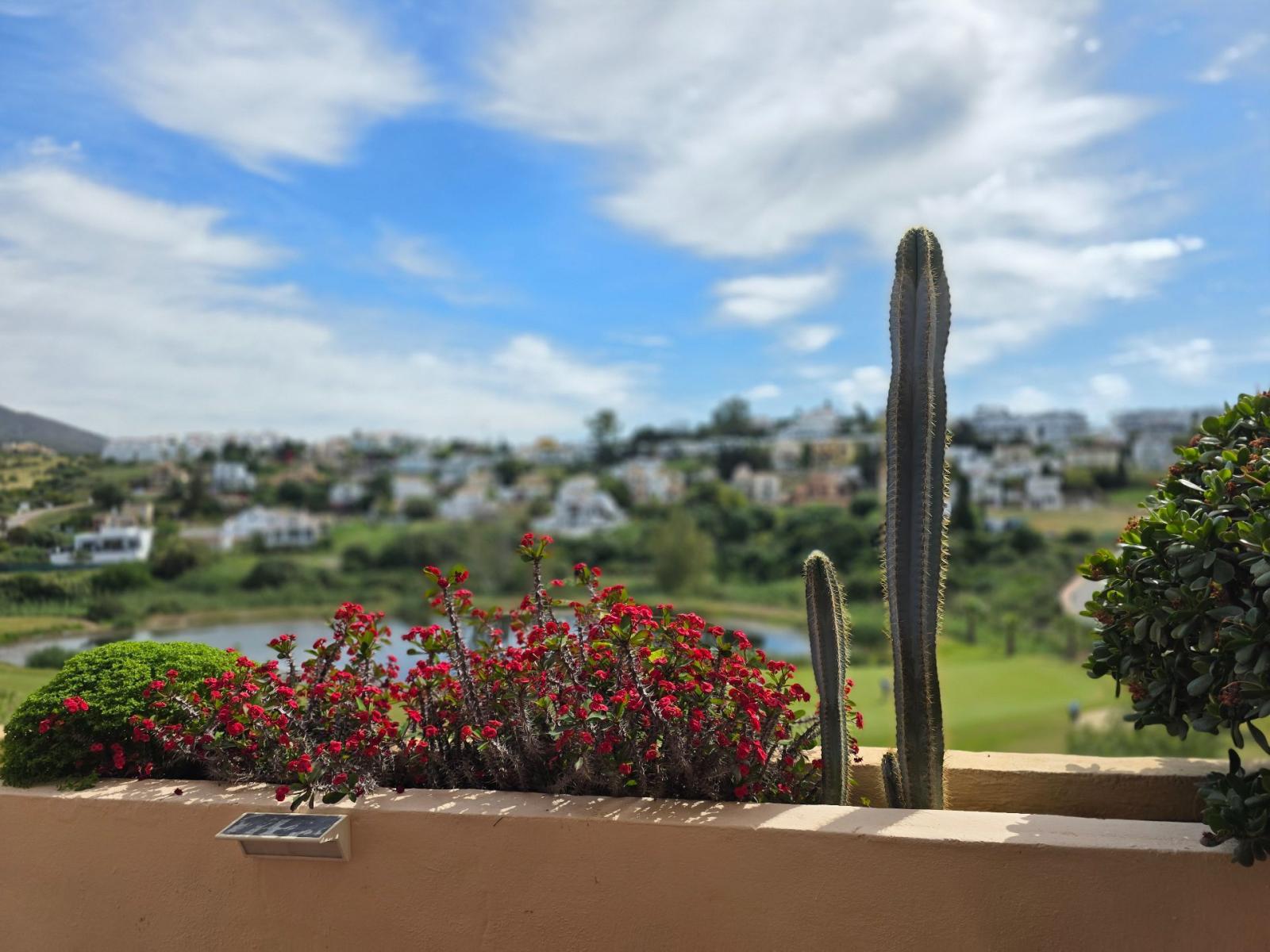 Apartment for Sale in Estepona
