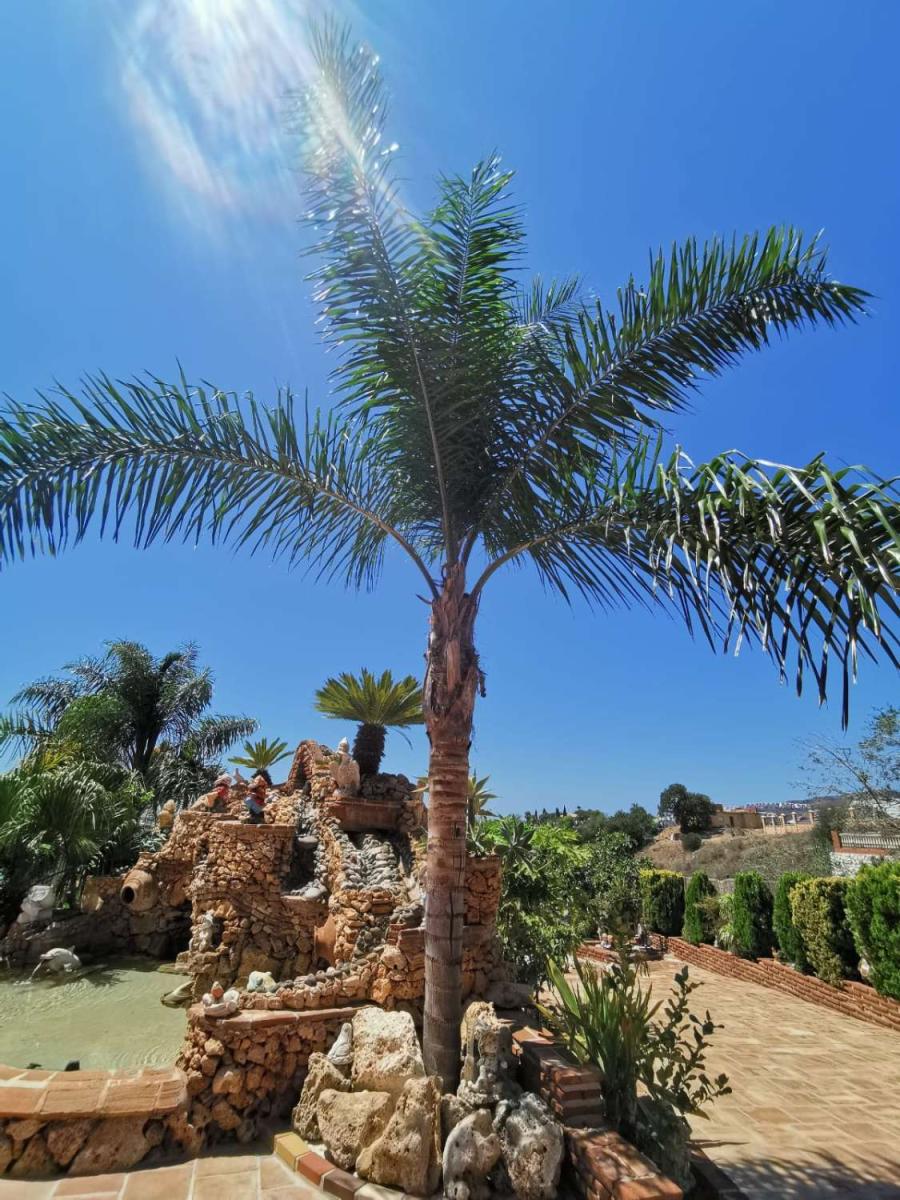 Chalet for Sale in Mijas