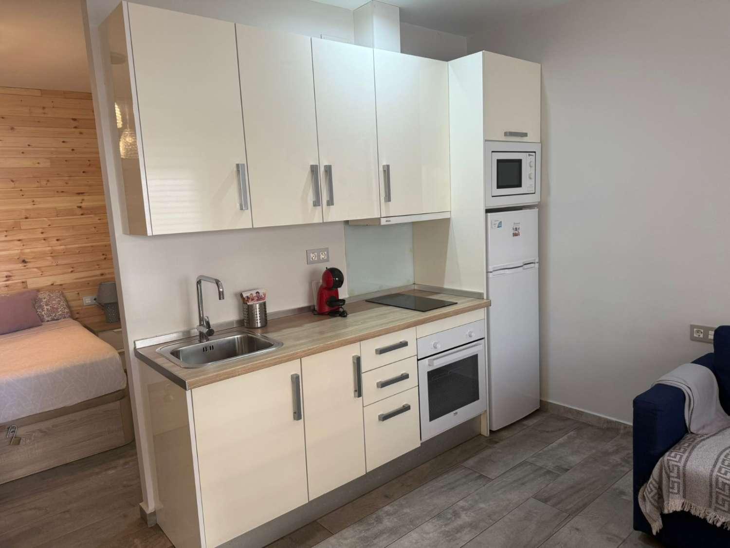 Studio for Rent in Torremolinos