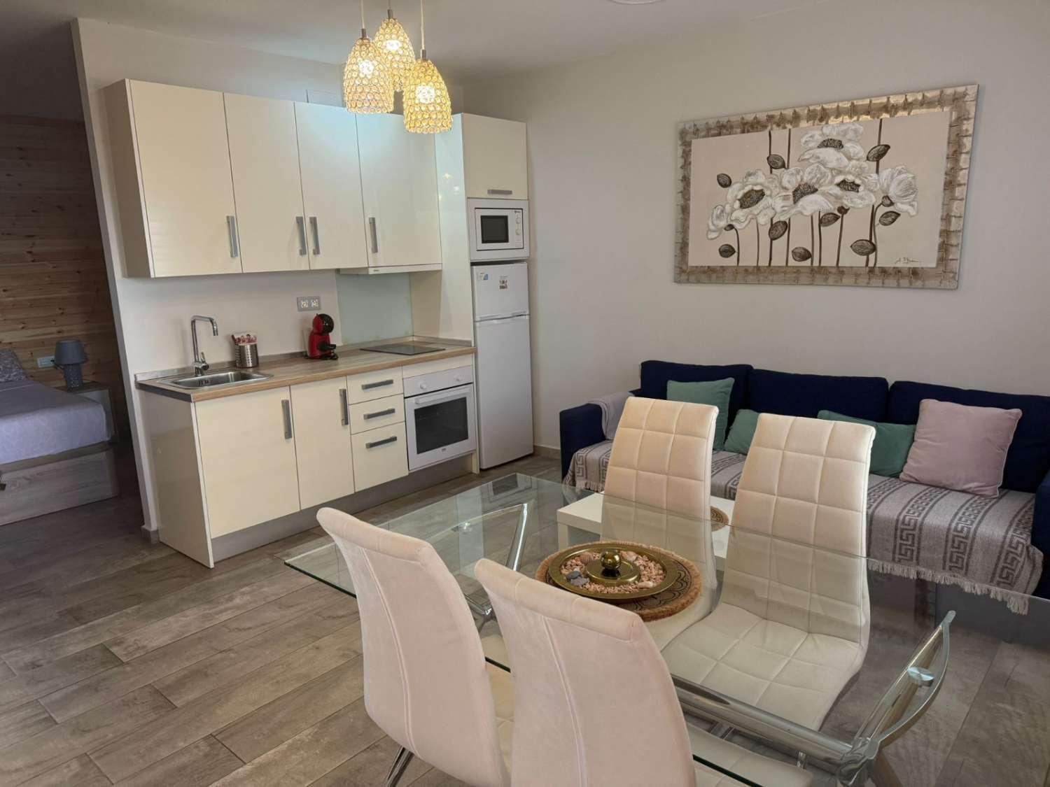 Studio for Rent in Torremolinos