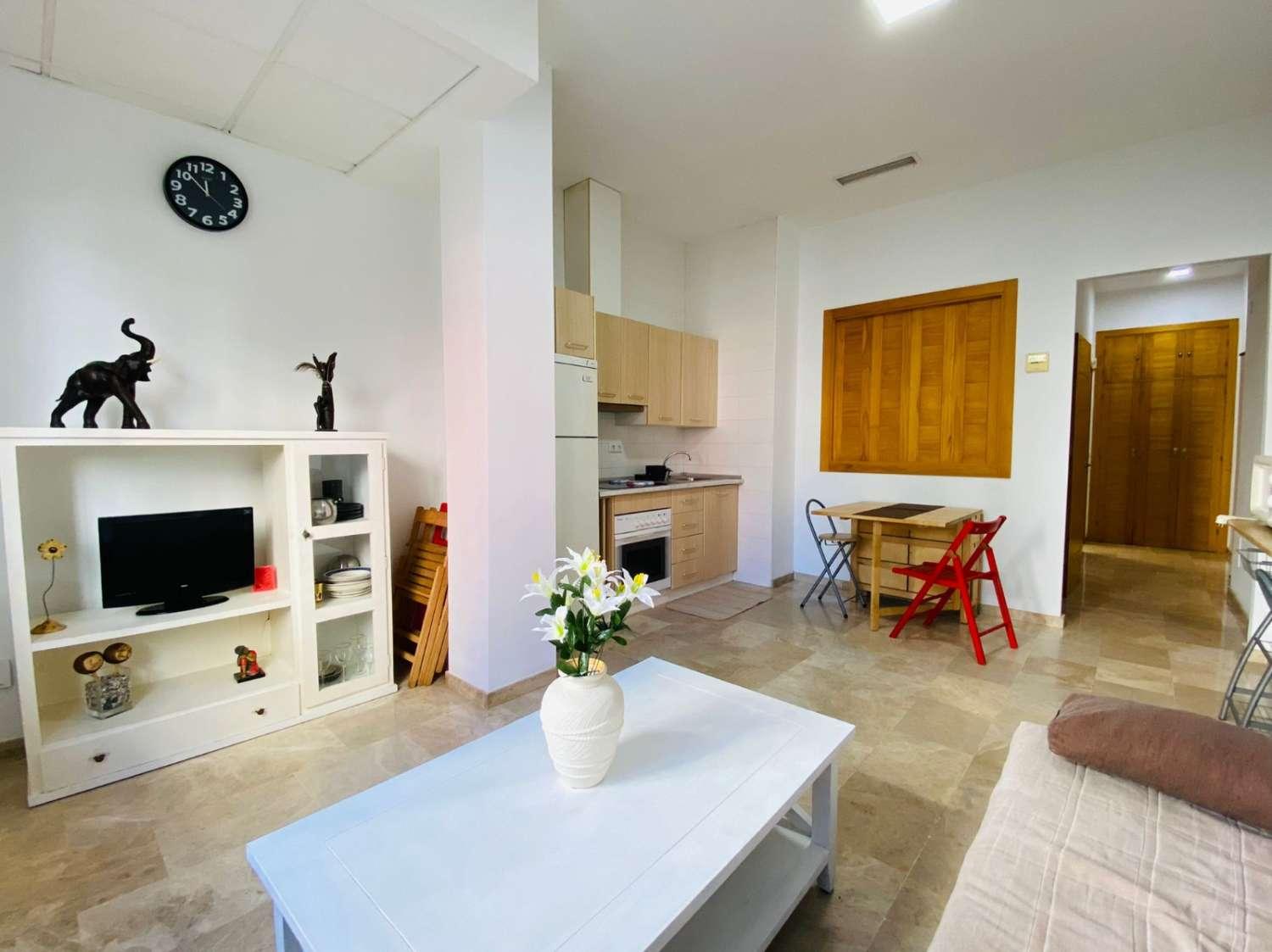 Apartment for Rent in Benalmádena
