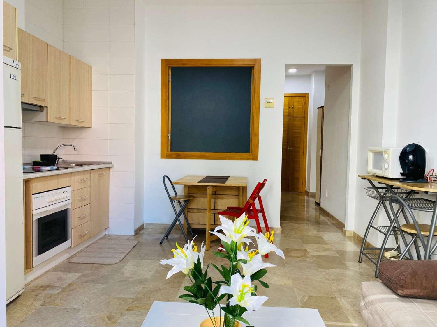 Apartment for Rent in Benalmádena