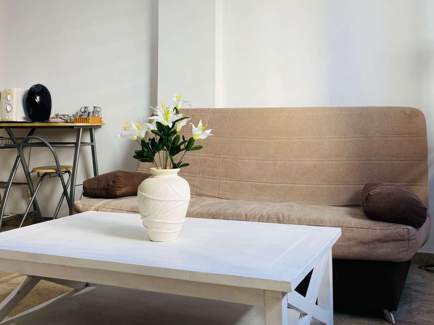 Apartment for Rent in Benalmádena