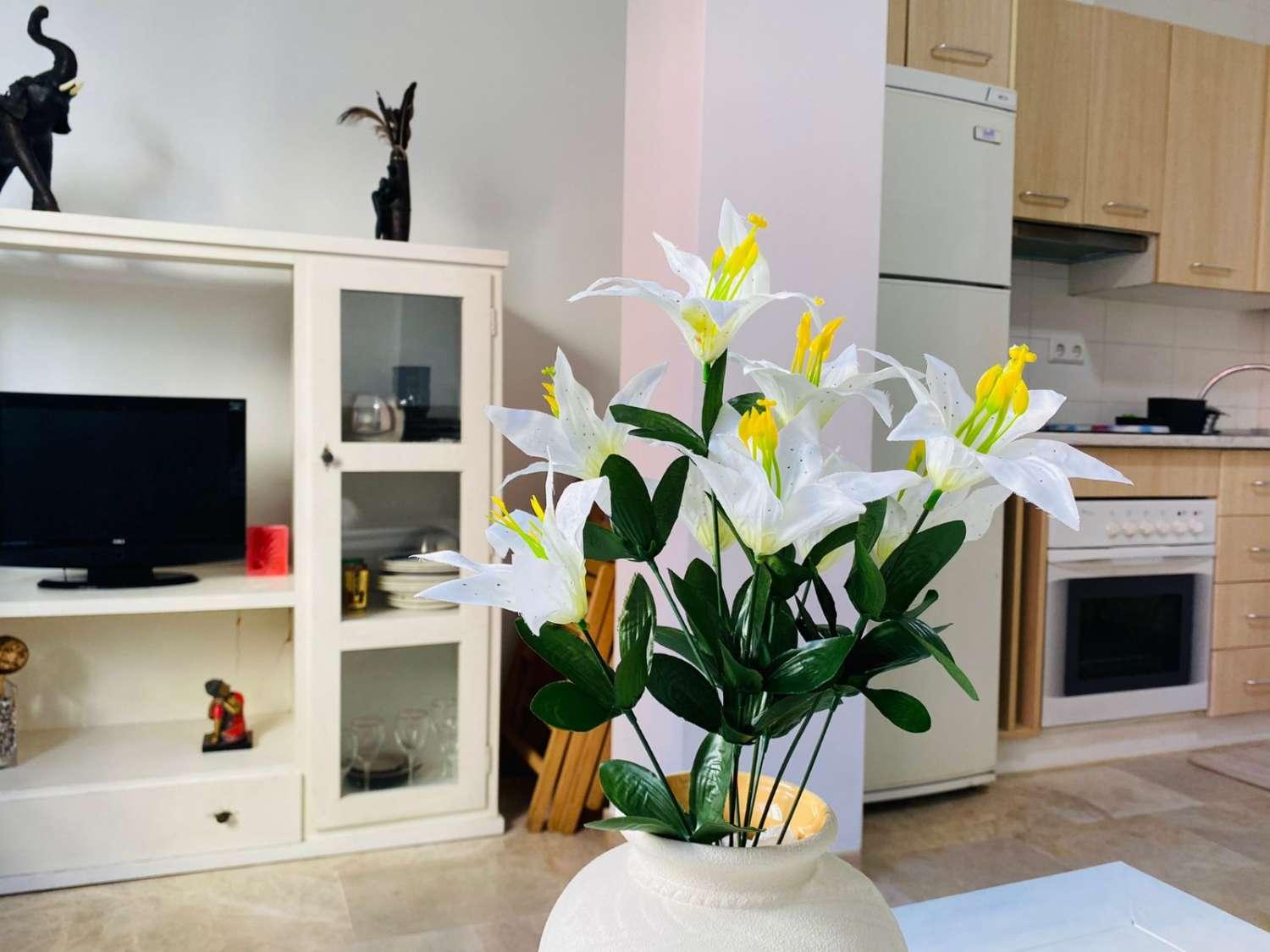 Apartment for Rent in Benalmádena