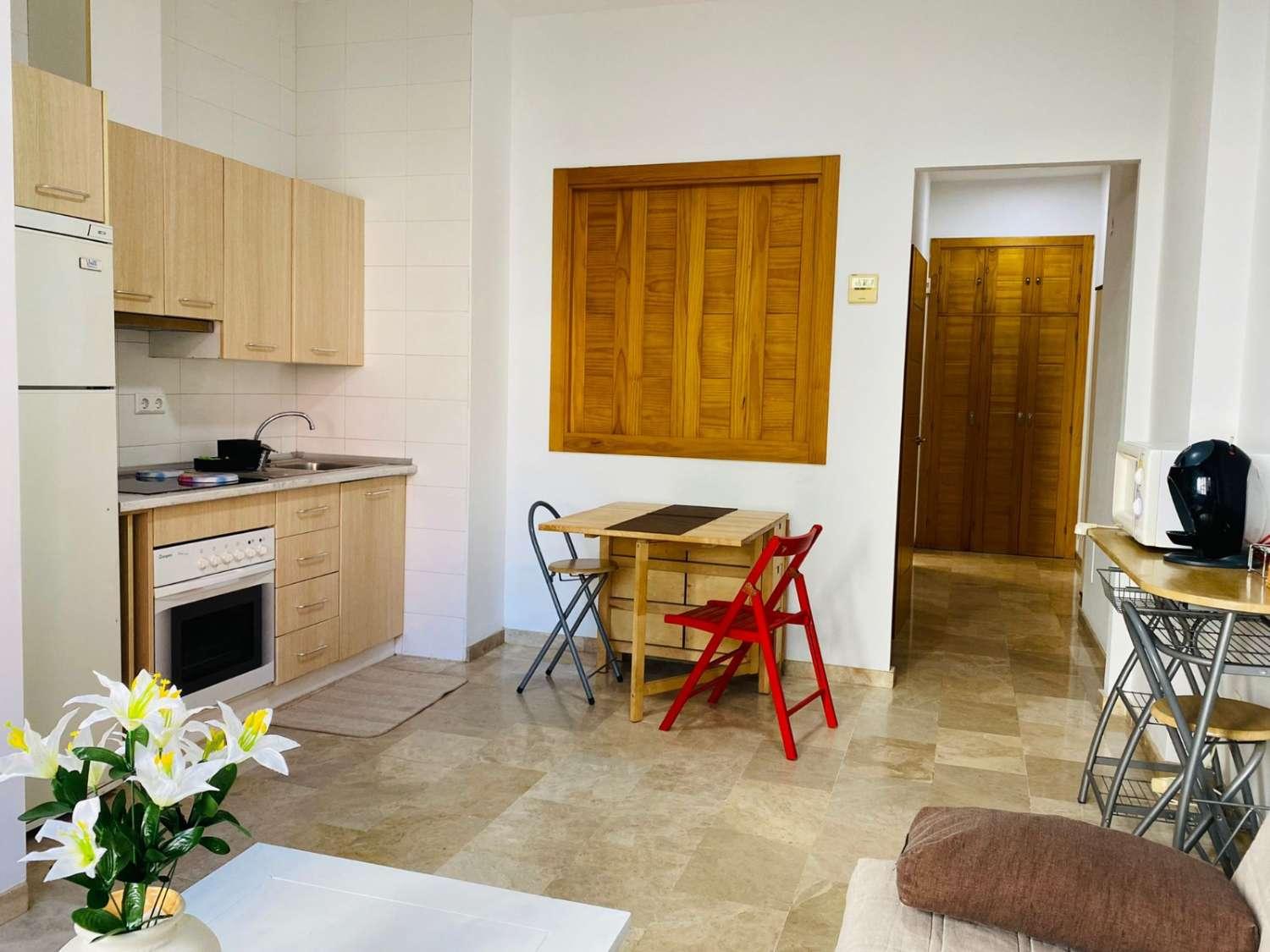 Apartment for Rent in Benalmádena