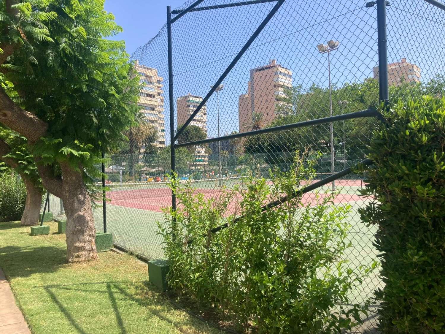 Apartment for Rent in Torremolinos
