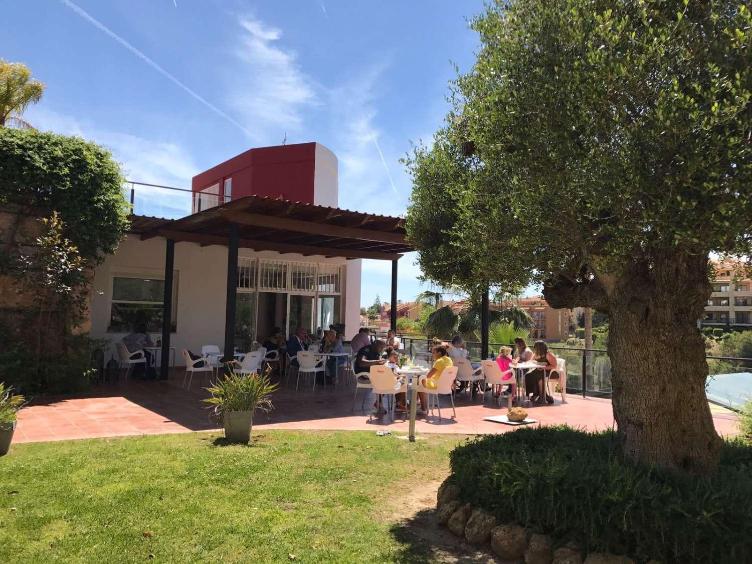 Penthouse for Rent in Mijas