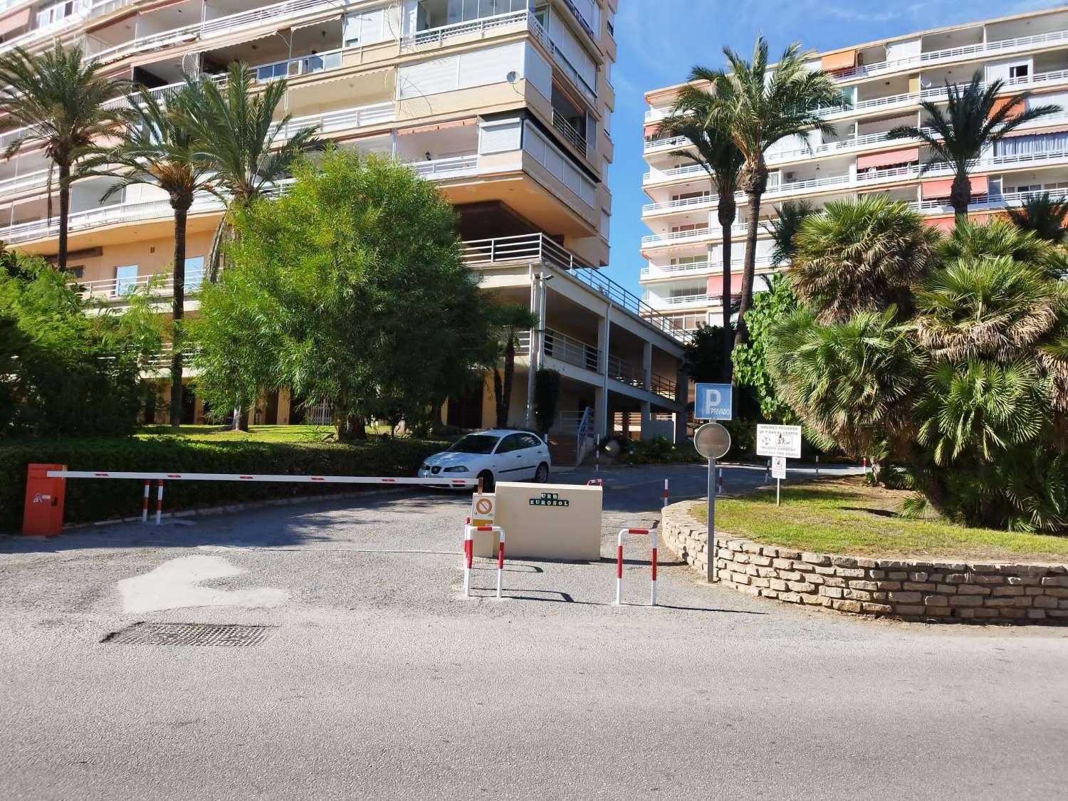 Apartamento en Alquiler en Torremolinos