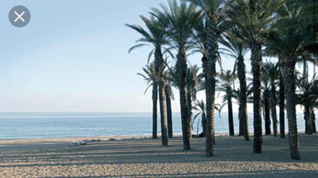 Apartment for Rent in Torremolinos