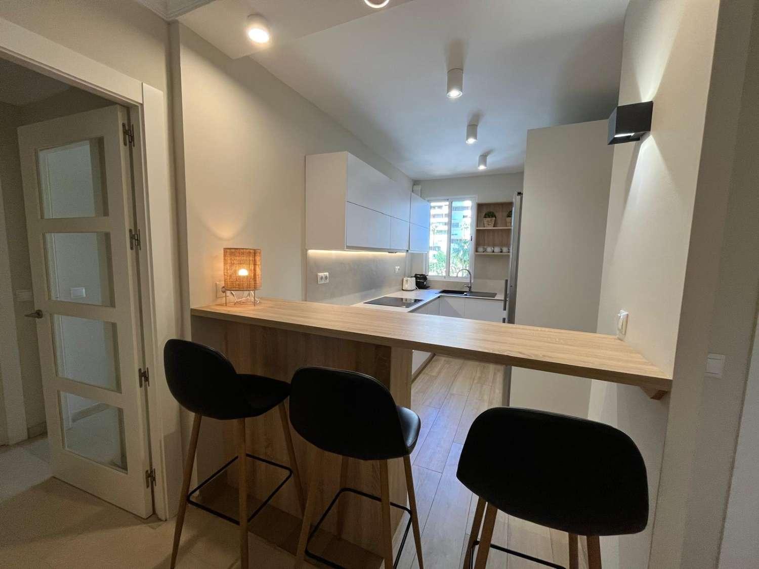 Apartment for Rent in Torremolinos